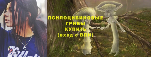 скорость Алзамай