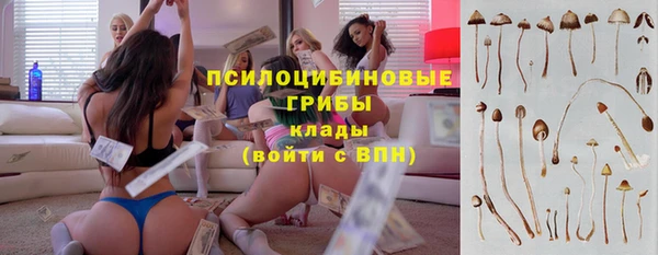 скорость Алзамай