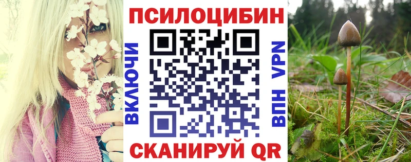 Галлюциногенные грибы мицелий  blacksprut   Анжеро-Судженск 